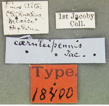 Media type: image;   Entomology 18400 Aspect: labels